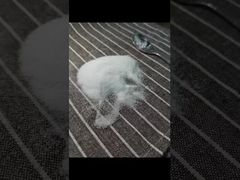 Δείτε γιατί να επιλέξετε  Σκόνη MSM 40-80 Mesh Δοκιμασμένη με τη μεθοδολογία GC με Συνολικά Βαρέα Μέταλλα 3